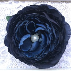 珍珠毛茛胸花（深藍） 第1張的照片