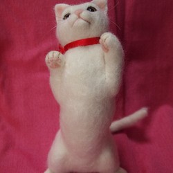 マンチカン 白猫 羊毛フェルト 1枚目の画像