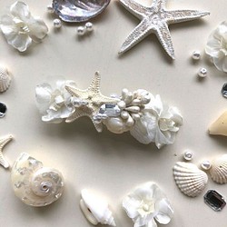 海の星と貝殻のバレッタ　seaha20-06 1枚目の画像