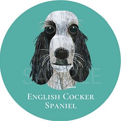 イングリッシュ コッカー スパニエル／ブルーローン《犬種名ステッカー/小型犬》 1枚目の画像