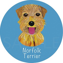 ノーフォーク テリア《犬種名ステッカー/小型犬》 1枚目の画像