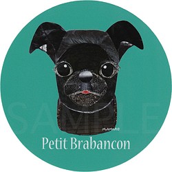 プチ ブラバンソン／黒《犬種名ステッカー/小型犬》 1枚目の画像