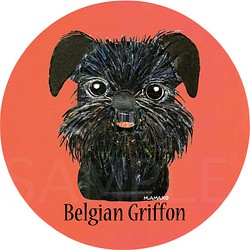 ベルジアン グリフォン《犬種名ステッカー/小型犬》 1枚目の画像