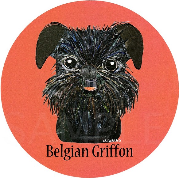 ベルジアン グリフォン《犬種名ステッカー/小型犬》 1枚目の画像