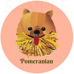 ポメラニアン《犬種名ステッカー/小型犬》 1枚目の画像