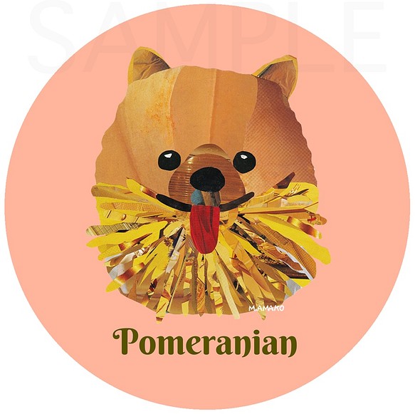 ポメラニアン《犬種名ステッカー/小型犬》 1枚目の画像
