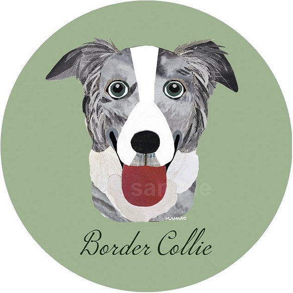 ボーダー コリー（ブルーマール）《犬種名ステッカー/中型犬》 1枚目の画像