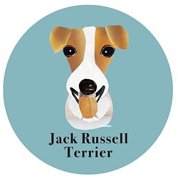 ジャック ラッセル テリア2《犬種名ステッカー/小型犬》 1枚目の画像