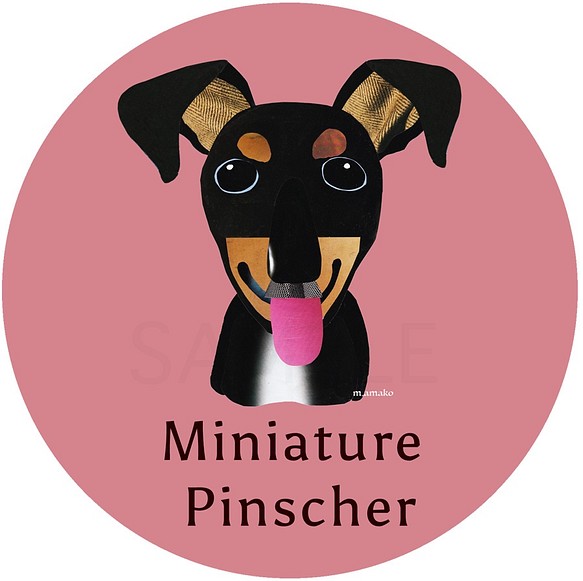 ミニチュア・ピンシャー2《犬種名ステッカー/小型犬》 1枚目の画像