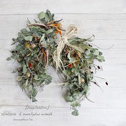 [supplication] wreath　　ストレリチアを使った馬蹄リース　ホースシューリース　ドライフラワーリース　 1枚目の画像