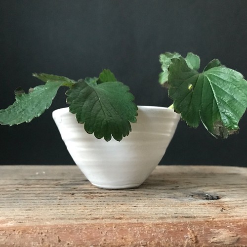 白い陶器の小さな植木鉢 一輪挿し 花瓶 花器 Nikoyagi33 通販 Creema クリーマ ハンドメイド 手作り クラフト作品の販売サイト