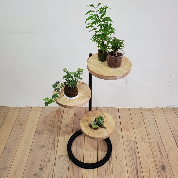 ◇新商品◇360度回転シェルフ円形 ラック 棚 アイアン 観葉植物