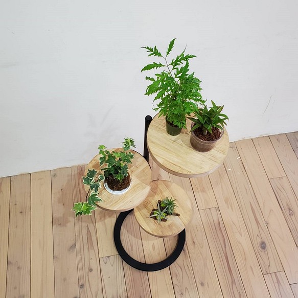 ◇新商品◇360度回転シェルフ円形 ラック 棚 アイアン 観葉植物