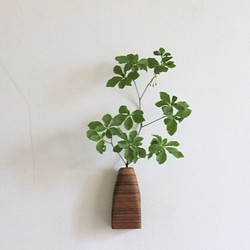 壁にくっつく木の花瓶【チーク】 1枚目の画像