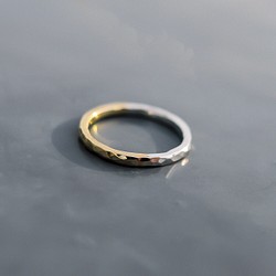 鱗の指輪♯銀・真鍮 1枚目の画像