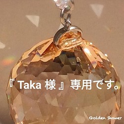 ✨『Taka 様』専用です✨ 1枚目の画像