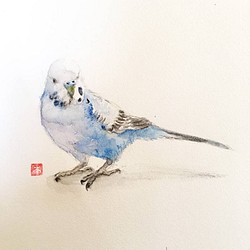 【愛鳥祭2021】愛鳥さんの肖像（ポストカード） 1枚目の画像