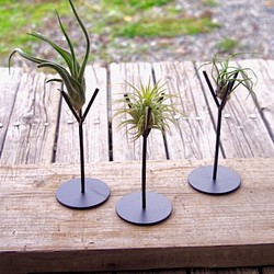 エアプランツ スタンド セット 一輪挿し 花瓶 花器 Airplants Tengu Do 通販 Creema クリーマ ハンドメイド 手作り クラフト作品の販売サイト