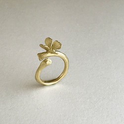 Butterfly : Ring(One color/Brass) 第1張的照片