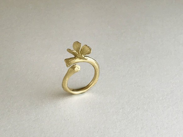 Butterfly : Ring(One color/Brass) 第1張的照片