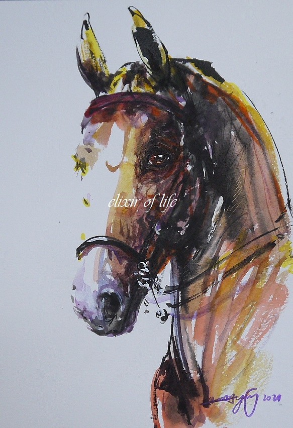 American Saddlebred,2 （墨、水彩、高級水彩画用紙、B５） - 絵画