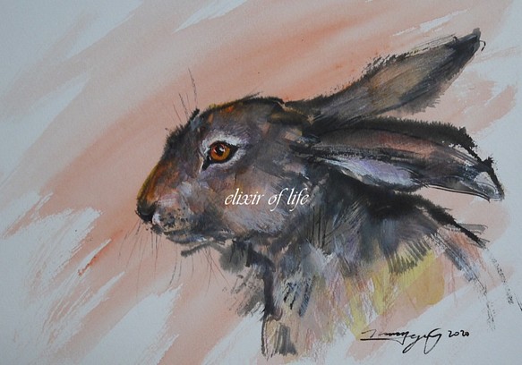 若いウサギ（墨絵、墨、水彩、高級水彩画用紙B５、２６ｃｍ×１８ｃｍ） 1枚目の画像