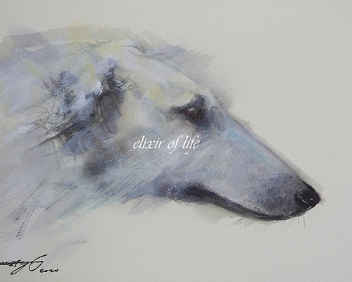 狼を追って。Russina Borzoi（墨絵、高級水彩画用紙、１６ｃｍ×２２，５ｃｍ）