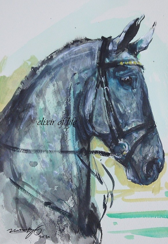 葦毛色の馬のポートレート、２（墨絵、高級水彩画用紙、１６ｃｍ×２２，５ｃｍ） 1枚目の画像
