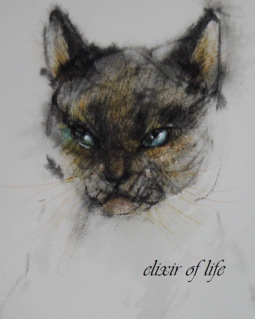 シャム猫（墨絵、厚い和紙、２６ｃｍ×３６ｃｍ） - 絵画