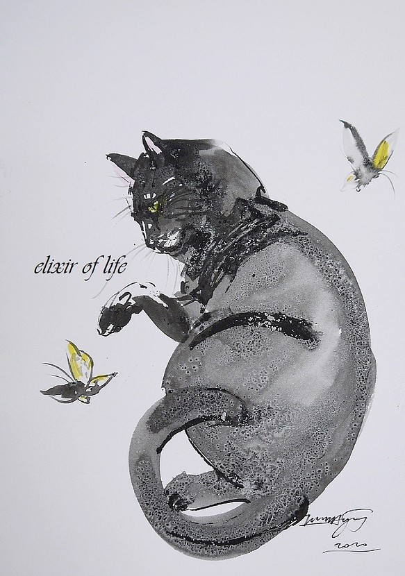 蝶々と猫（A4、水彩画用紙、墨絵） 絵画 ELIXIR OF LIFE 通販｜Creema