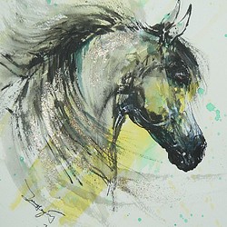 葦毛のアラビアンの馬（高級水彩画用紙F3，２２ｃｍ×２７ｃｍ、墨、水彩） 1枚目の画像