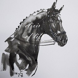 Dressage Horse（墨絵、水彩、水彩画用紙、A4） 1枚目の画像