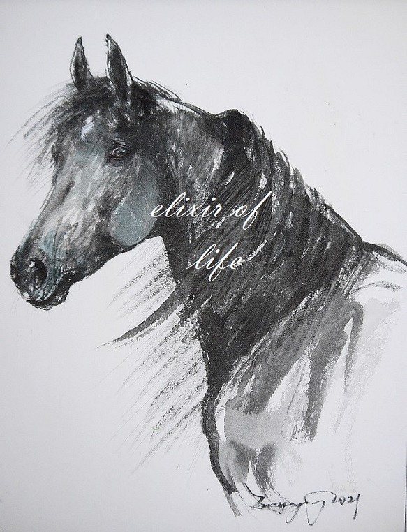 "A black Stallion" (墨絵、厚い和紙、２６ｃｍ×３６ｃｍ） 1枚目の画像