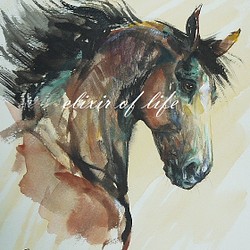 馬のポートレート２０２１、１（A4サイズ、墨絵、高級水彩画用紙、墨、水彩） 1枚目の画像