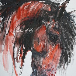 感情、赤い馬のポートレート（高級水彩画用紙、F4, 24cm×３３，５ｃｍ、墨、水彩） 1枚目の画像