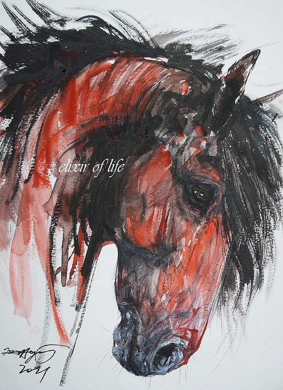 感情、赤い馬のポートレート（高級水彩画用紙、F4, 24cm×３３，５ｃｍ、墨、水彩） 1枚目の画像