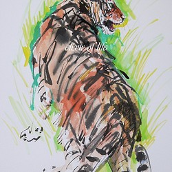 緑の中の虎（A4サイズ、墨絵、水彩画用紙） 1枚目の画像