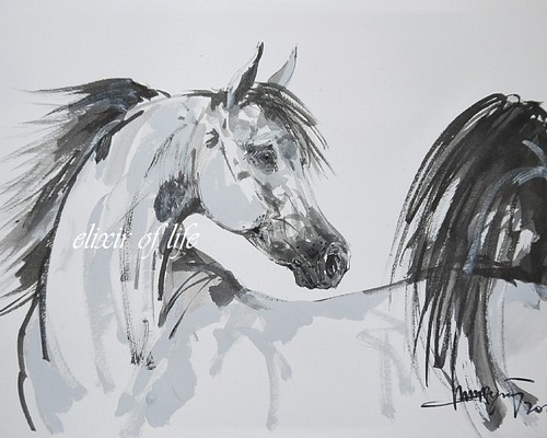 Arabian grey horse (水彩画用紙、24cm×32、５cm、墨絵、墨、アクリル