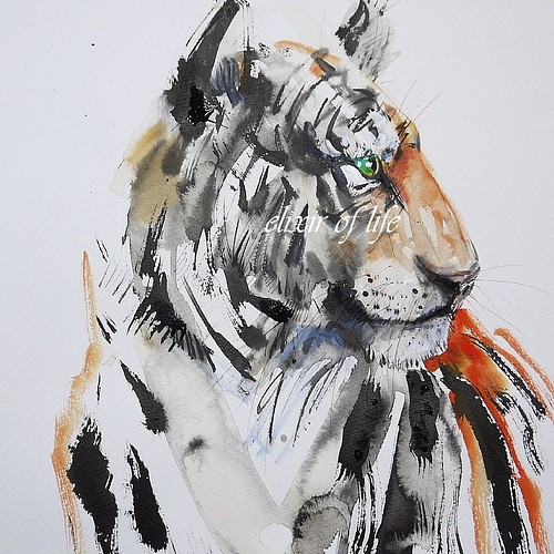 虎のポートレート２０２１墨絵、水彩画用紙、３５ｃｍ×２５ｃｍ