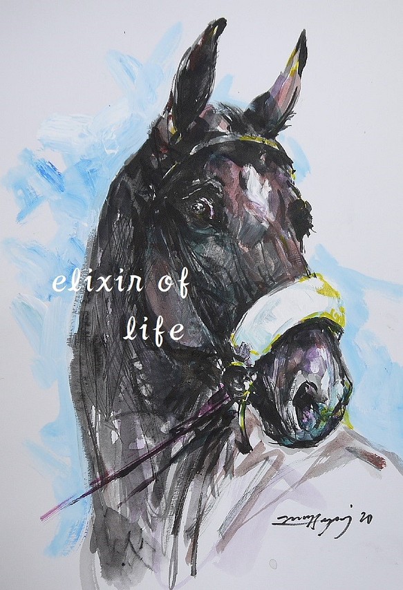 A race horse, 1 (墨絵、アクリル、その他、水彩画用紙２１ｃｍ×３０ｃｍ) 1枚目の画像