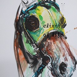 競走馬のポートレート、２（墨絵、アクリル、その他、水彩画用紙２１ｃｍ×３０ｃｍ） 1枚目の画像