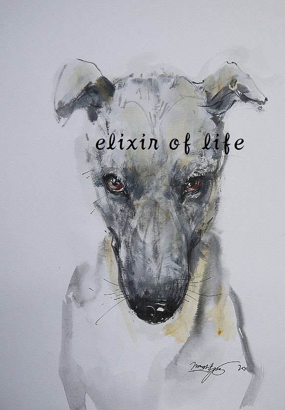 グレー色の犬（墨絵、水彩画用紙２１ｃｍ×３０ｃｍ） 絵画 ELIXIR OF