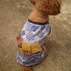s 犬服 パッチワーク ワンタッチ 浴衣 着物 洋服型  犬　 チワワ　ヨーキー　ブルー 1枚目の画像