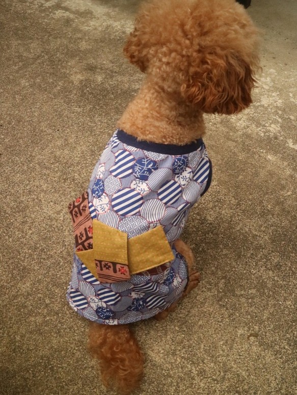 s 犬服 パッチワーク ワンタッチ 浴衣 着物 洋服型  犬　 チワワ　ヨーキー　ブルー 1枚目の画像