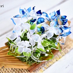 【小盆】紫陽花（あじさい）ブルー 1枚目の画像