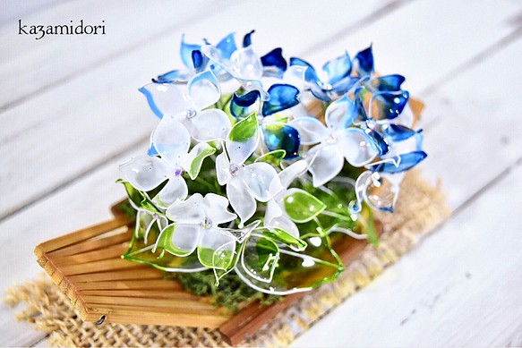 【小盆】紫陽花（あじさい）ブルー 1枚目の画像