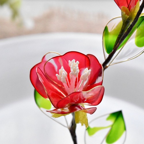 受注制作 植物標本 S 赤椿 あかつばき Camellia Red フラワー リース 風碧 Kazamidori 通販 Creema クリーマ ハンドメイド 手作り クラフト作品の販売サイト