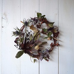 ワイルドプランツの風景(Wreath リース) 1枚目の画像