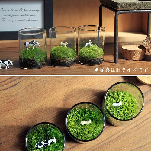 苔のミニミニテラリウム 動物のいる草原 フラワー リース Mofumofu Moss 通販 Creema クリーマ ハンドメイド 手作り クラフト作品の販売サイト