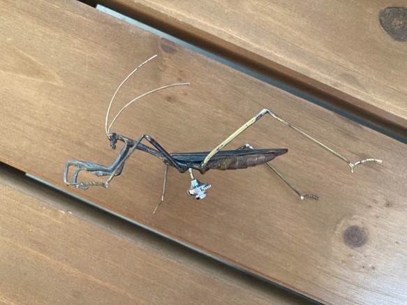 蟷螂(かまきり)metal insect series 立体・オブジェ tree frog 通販｜Creema(クリーマ) ハンドメイド